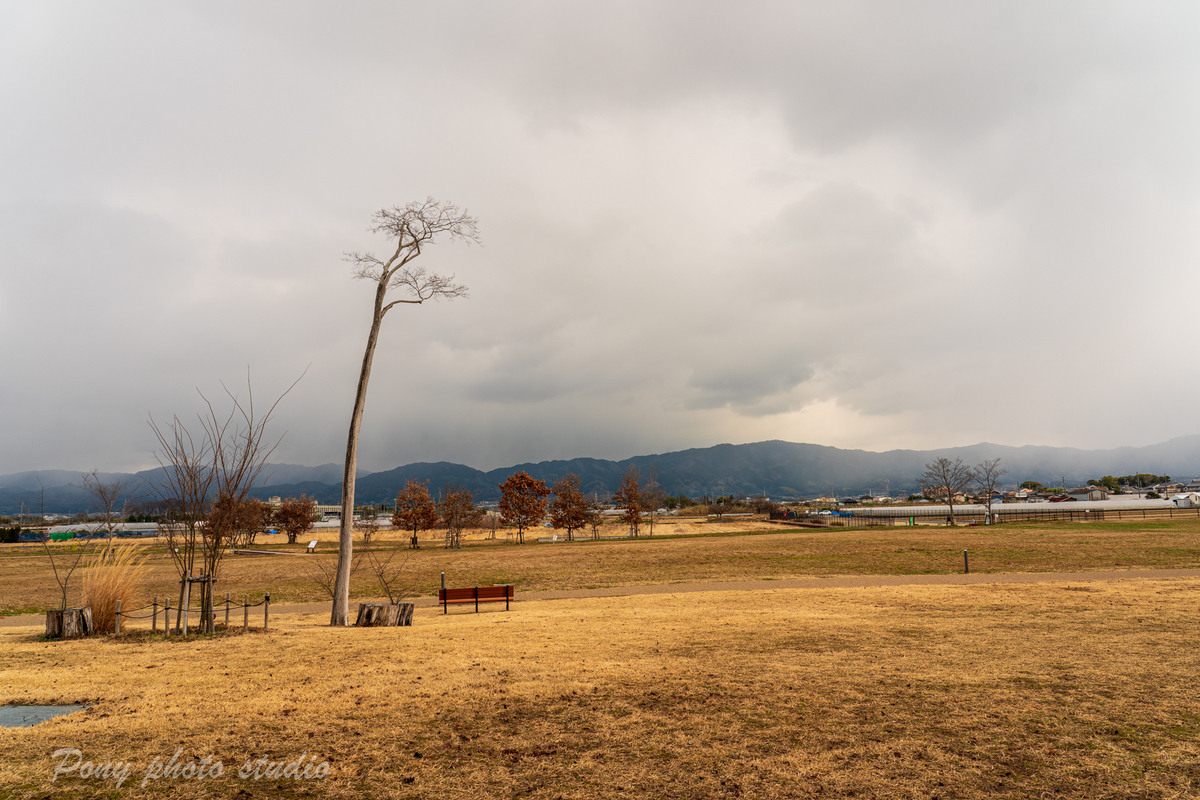 f:id:pony3:20220120171140j:plain