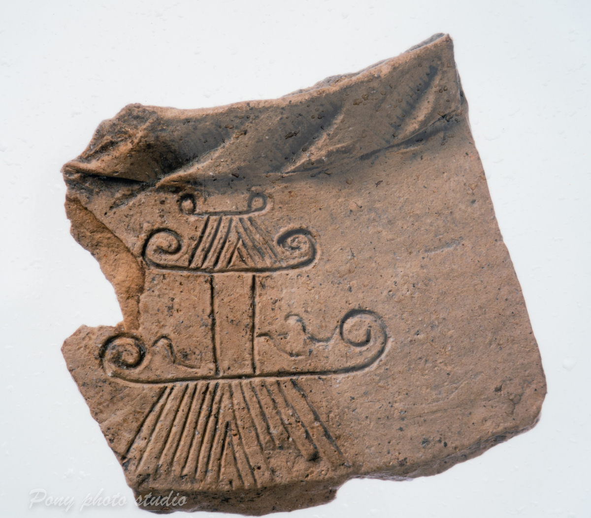 f:id:pony3:20220120171245j:plain