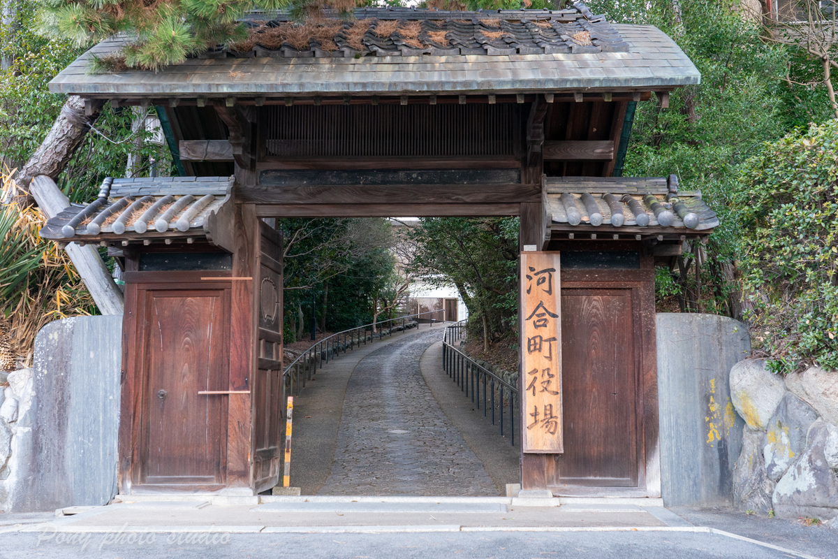 f:id:pony3:20220120171732j:plain