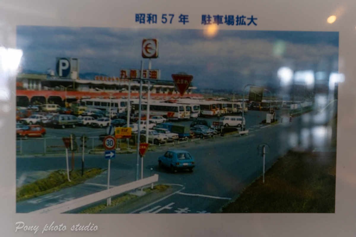 f:id:pony3:20220201130915j:plain
