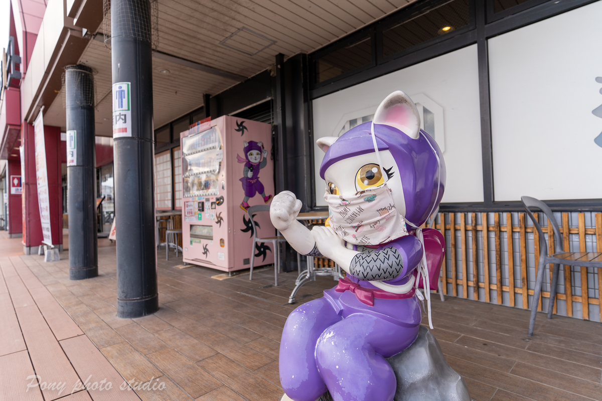 f:id:pony3:20220201131046j:plain