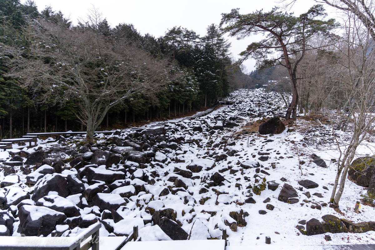 f:id:pony3:20220214160540j:plain