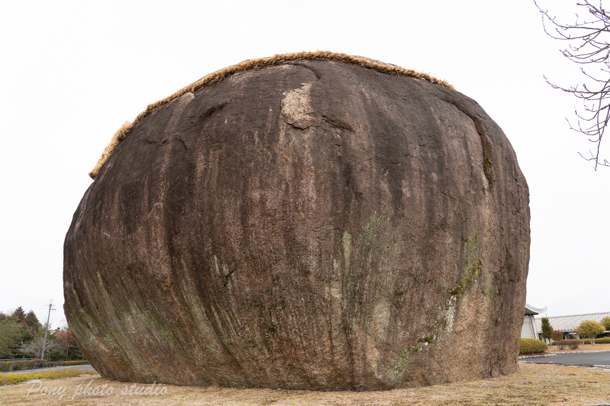 f:id:pony3:20220214161004j:plain