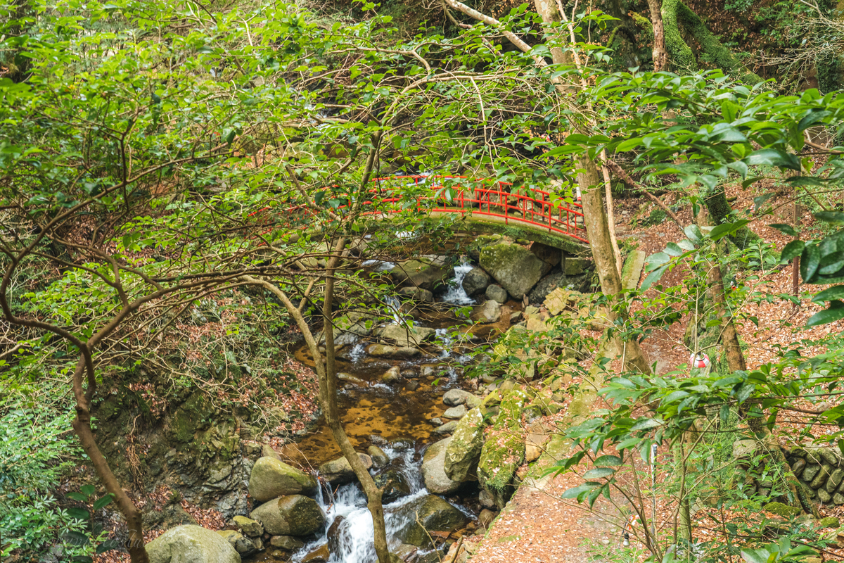 f:id:pony3:20220319185822j:plain