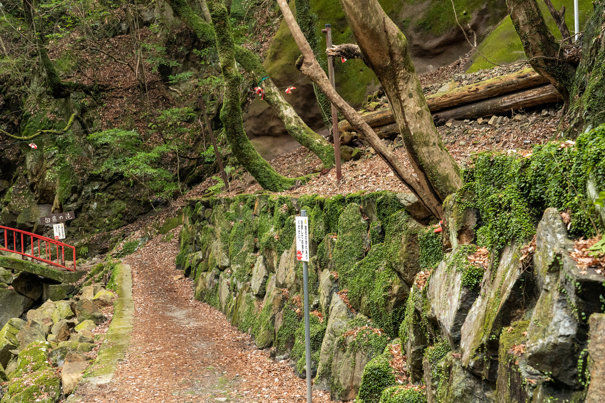 f:id:pony3:20220319185834j:plain