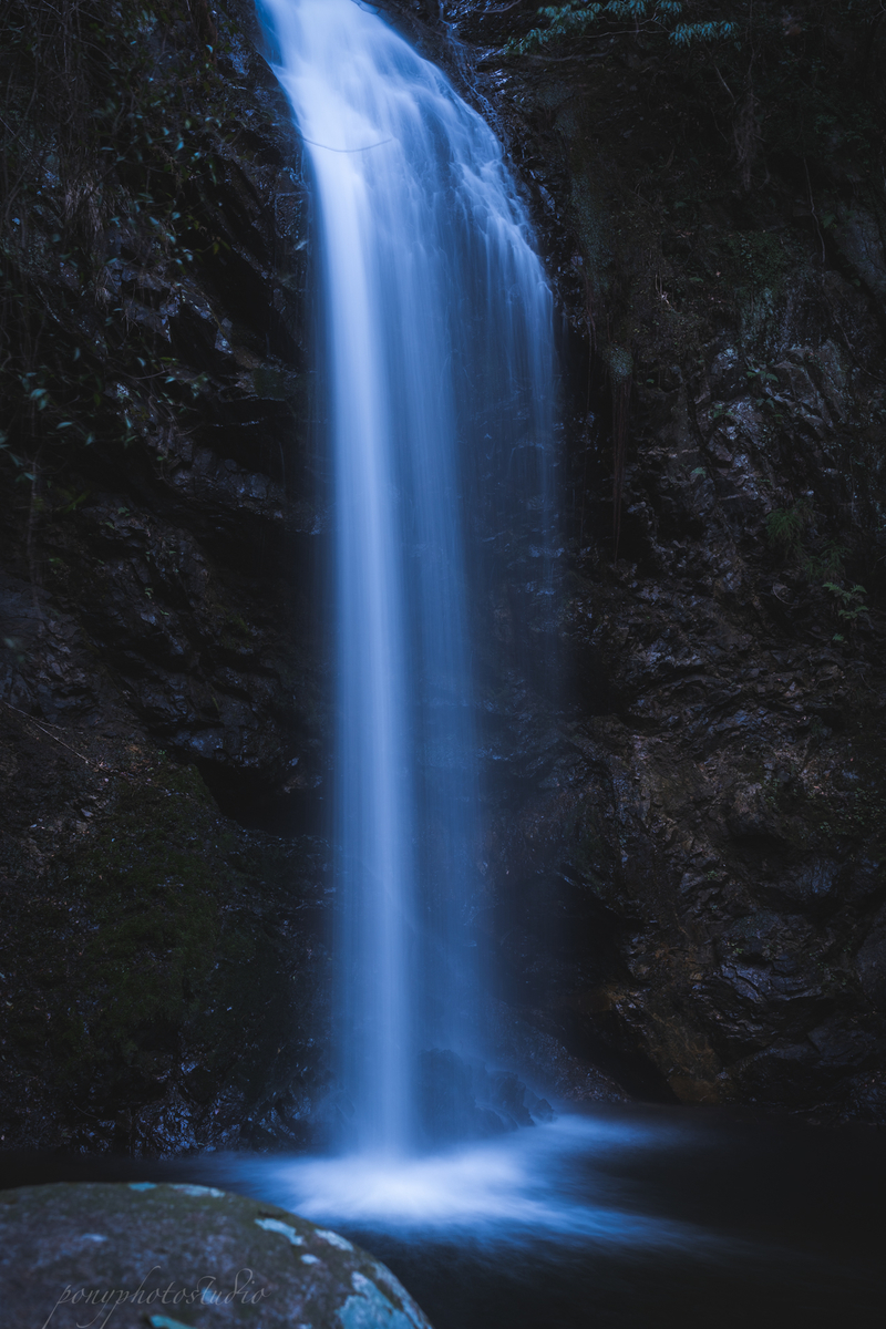 f:id:pony3:20220319190025j:plain