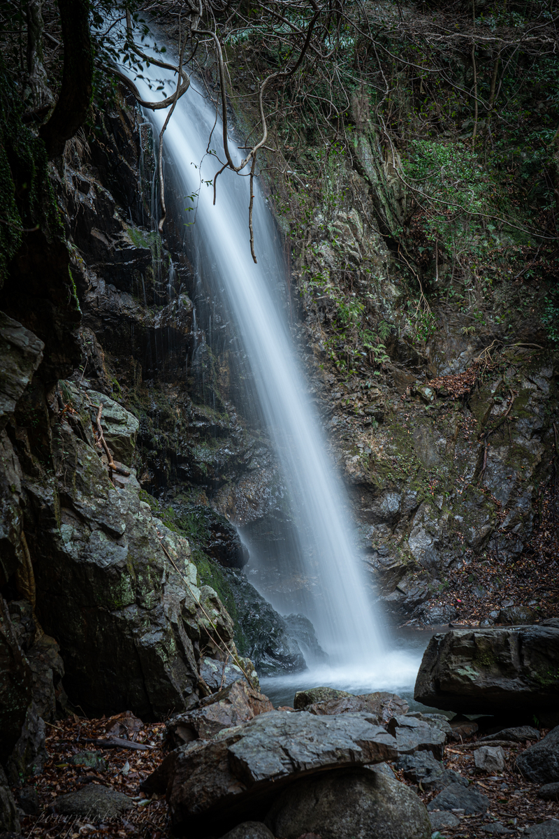 f:id:pony3:20220319190037j:plain