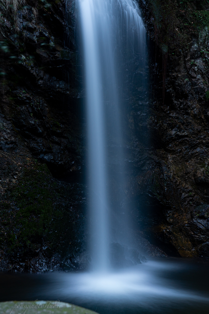 f:id:pony3:20220319190049j:plain