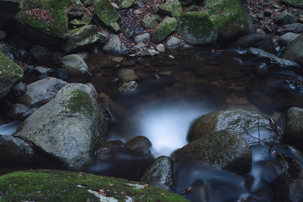 f:id:pony3:20220319190101j:plain