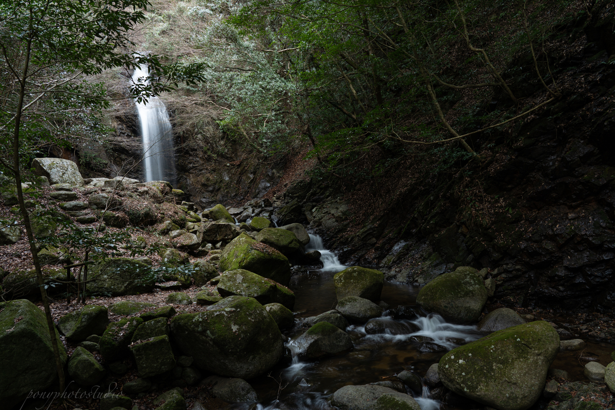 f:id:pony3:20220319190115j:plain