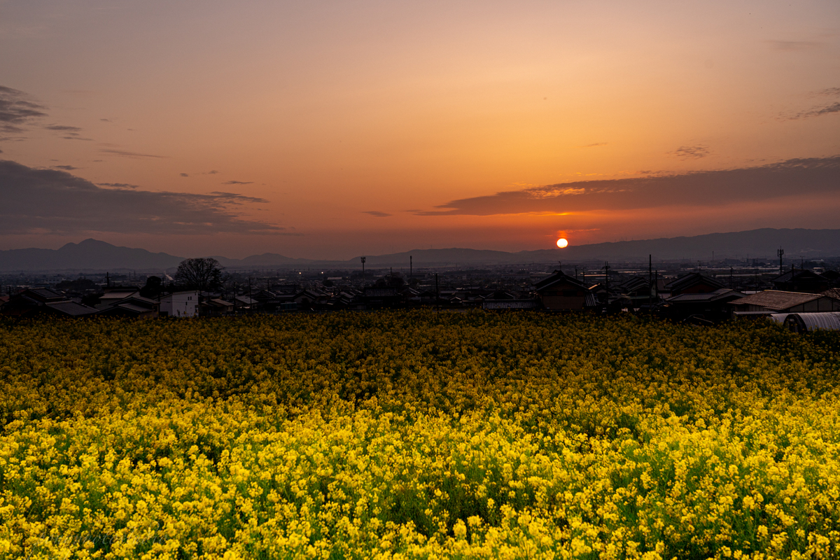 f:id:pony3:20220401184358j:plain