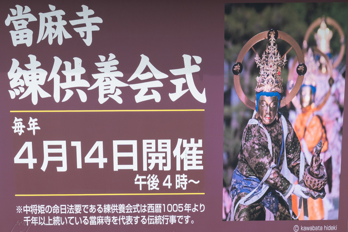 中将姫ちゅうじょうひめと當麻曼荼羅たいままんだら―祈りが紡
