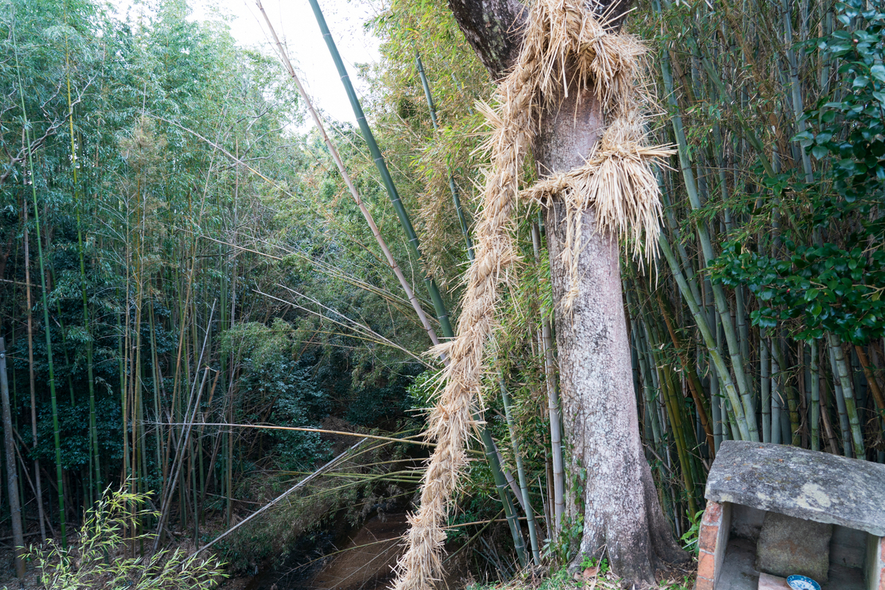 伊賀の勧請縄4・5】悲運の中柘植・凝縮の柘植明暗分ける - PONYの缶詰