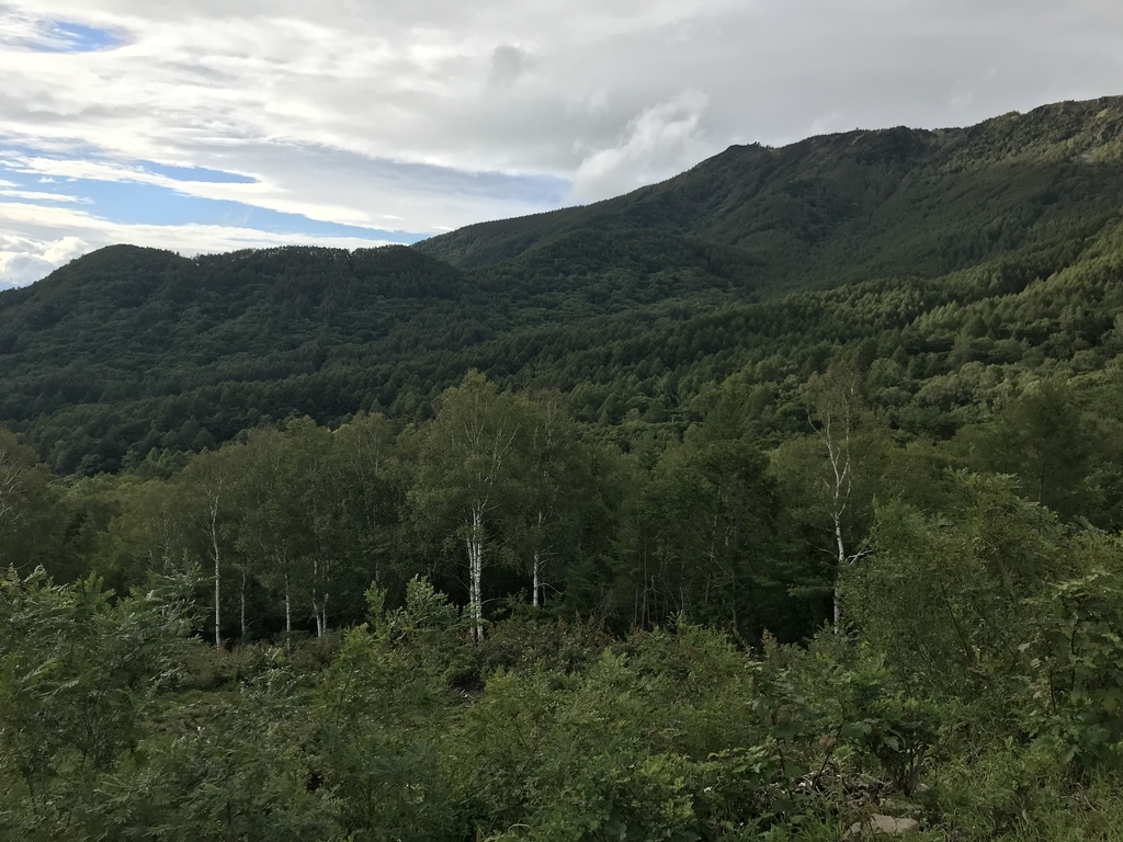 f:id:pony_training:20180910223123j:plain f:id:pony_training:20180910223123j:plain