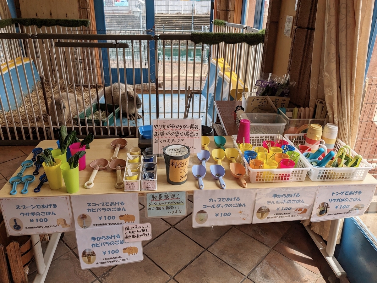 和歌山マリーナシティ　ワクワクいきもの　餌やり