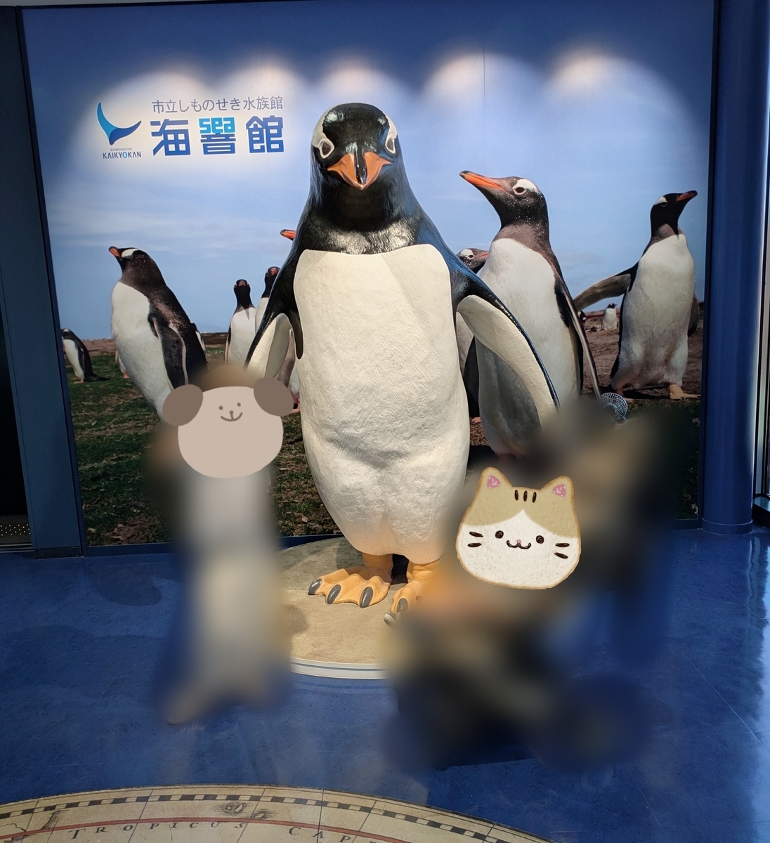 下関市立しものせき水族館「海響館」ペンギン
