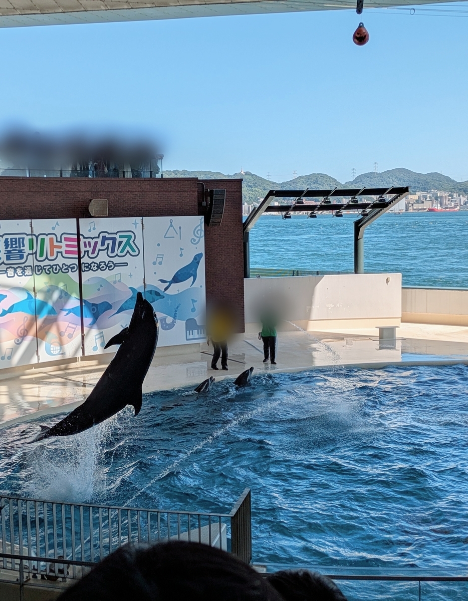 下関市立しものせき水族館「海響館」 イルカショー