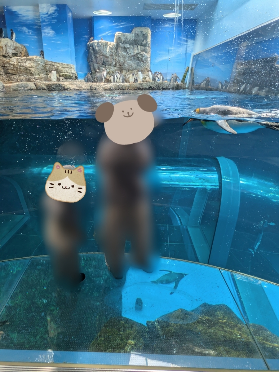 下関市立しものせき水族館「海響館」 ペンギン泳