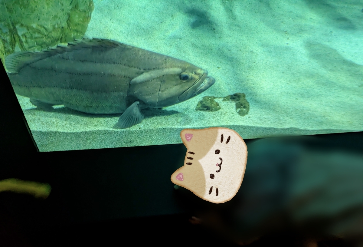 下関市立しものせき水族館「海響館」 魚