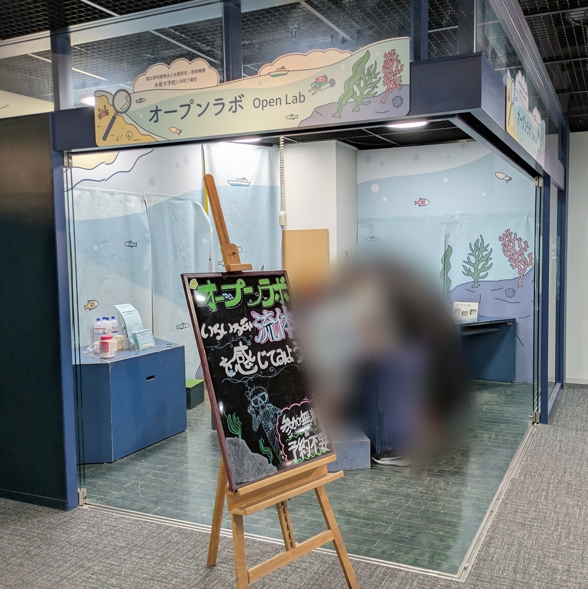 下関市立しものせき水族館「海響館」 キッズこーな―体験