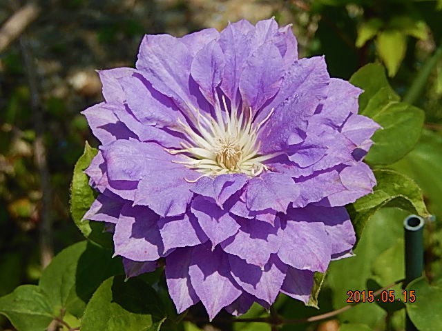 20150515230517