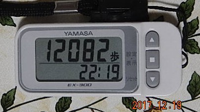 f:id:ponyoponyokun:20171219231259j:image f:id:ponyoponyokun:20171219231259j:image