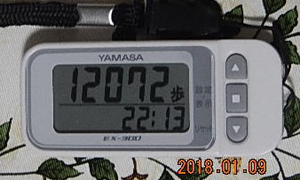 f:id:ponyoponyokun:20180110001244j:image