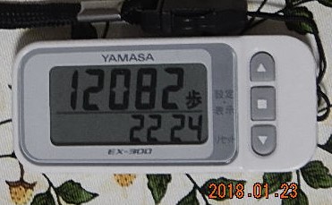 f:id:ponyoponyokun:20180124004455j:image