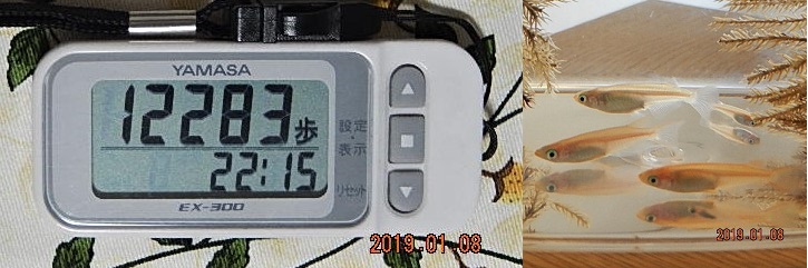 f:id:ponyoponyokun:20190109001830j:image f:id:ponyoponyokun:20190109001830j:image