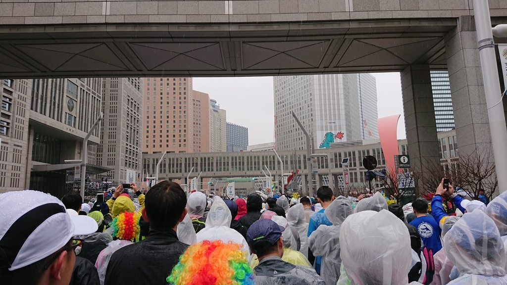 f:id:ponzi:20190307071843j:plain f:id:ponzi:20190307071843j:plain