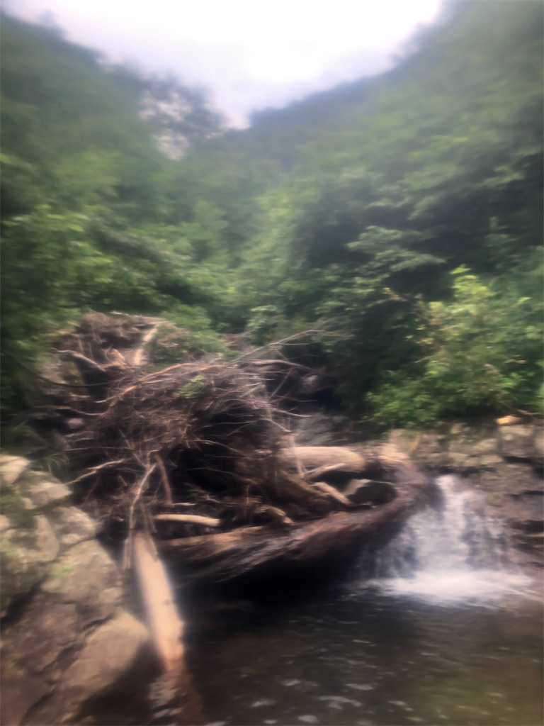 f:id:ponzu613:20220819101902j:image f:id:ponzu613:20220819101902j:image
