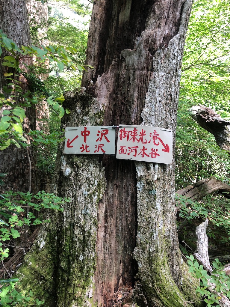 f:id:ponzu613:20221005115455j:image f:id:ponzu613:20221005115455j:image