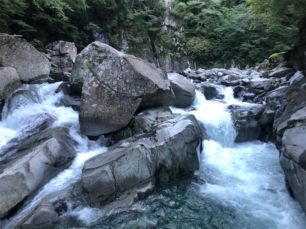 f:id:ponzu613:20221005115525j:image f:id:ponzu613:20221005115525j:image