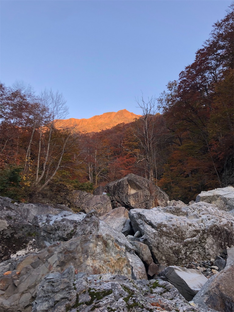 f:id:ponzu613:20251022015806j:image f:id:ponzu613:20251022015806j:image
