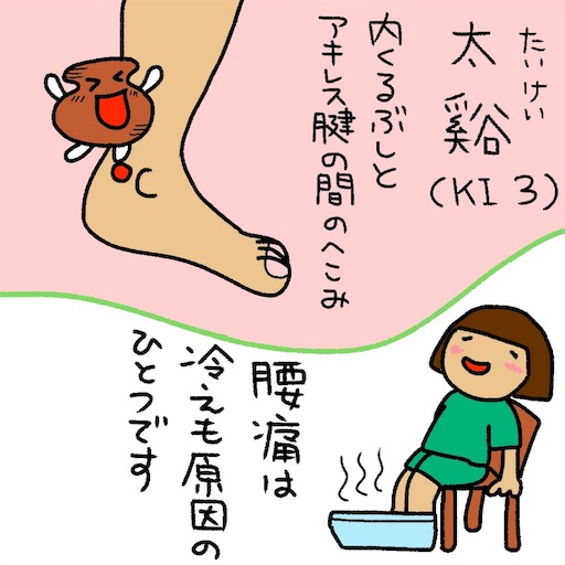 腎経 Ki 3 太谿 たいけい しのづかきく お絵かきダイアリー