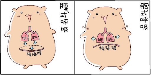 f:id:ponzux:20180715135948j:image f:id:ponzux:20180715135948j:image