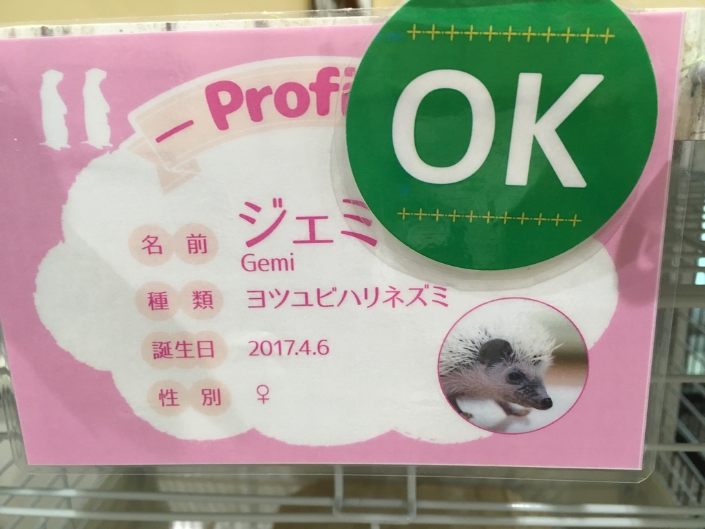 f:id:ponzux:20180911211302j:plain f:id:ponzux:20180911211302j:plain