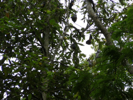 f:id:pooch-moggie:20110402151111j:image f:id:pooch-moggie:20110402151111j:image