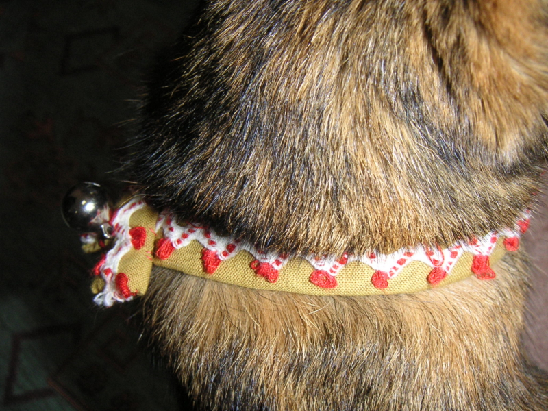 f:id:poochico:20101013084301j:image