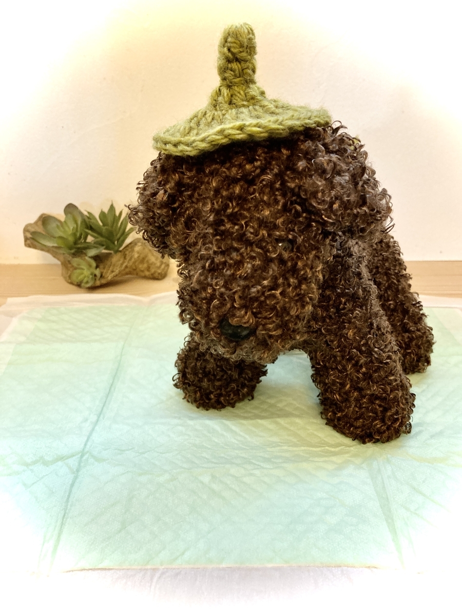 成犬になってからのトイレトレーニング プータとわたしと時々ダーリン