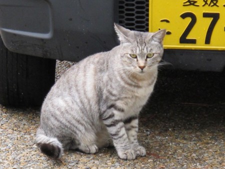 f:id:pooh-zo:20100923212917j:image