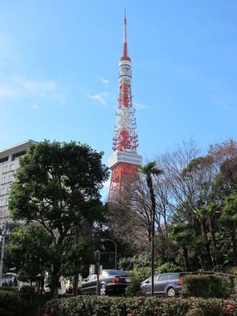 東京タワーをのぞむ