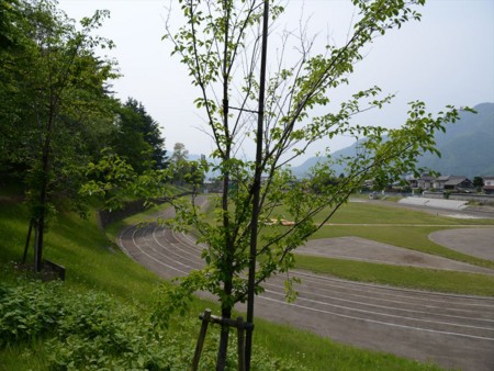 f:id:pooh-zo:20140525141401j:image