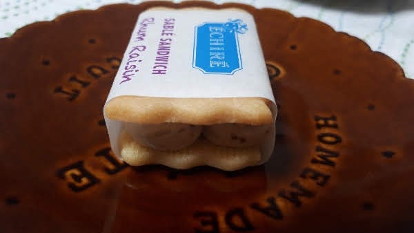 f:id:pooh70inu:20210202092945j:plain