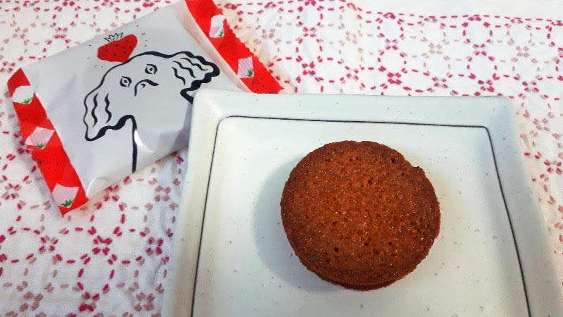 f:id:pooh70inu:20210212230003j:plain