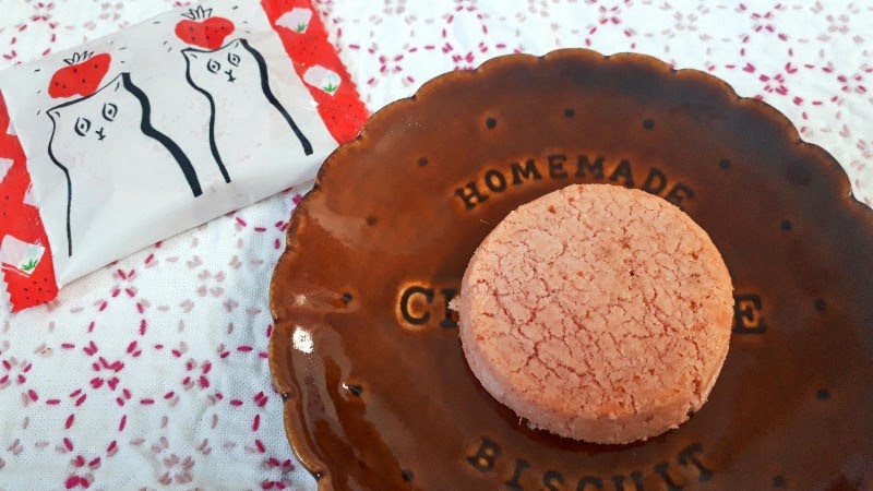 f:id:pooh70inu:20210212230442j:plain