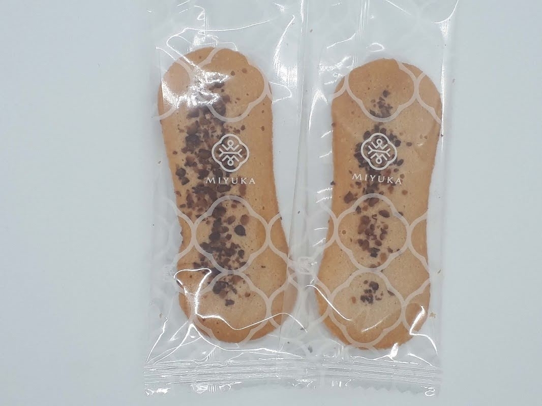 f:id:pooh70inu:20210402231615j:plain