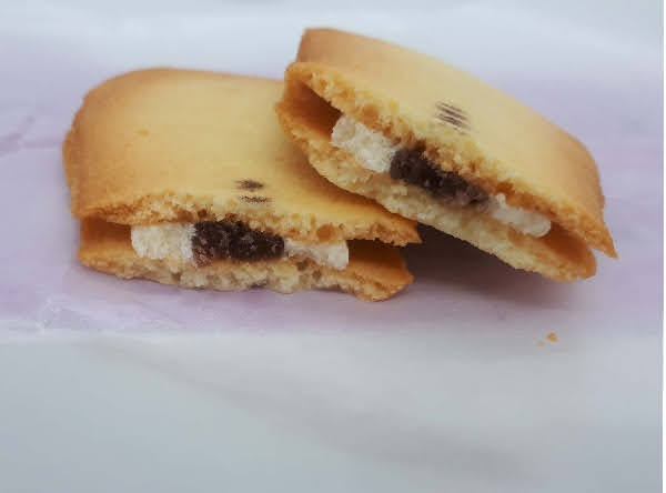 f:id:pooh70inu:20210402232114j:plain