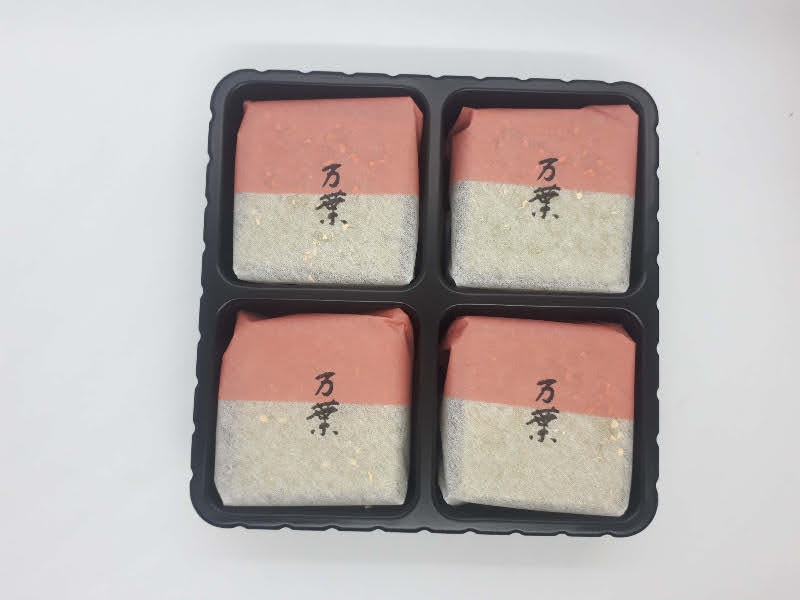 f:id:pooh70inu:20210429211214j:plain