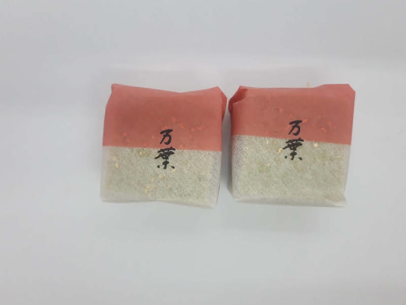 f:id:pooh70inu:20210429211224j:plain